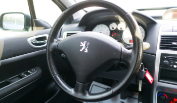 Peugeot 307 full