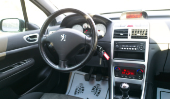 Peugeot 307 full