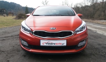 Kia Pro_cee’d + rok gwarancji! full