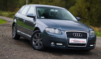 Audi A3 full