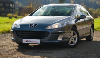 Peugeot 407 full