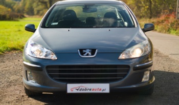 Peugeot 407 full