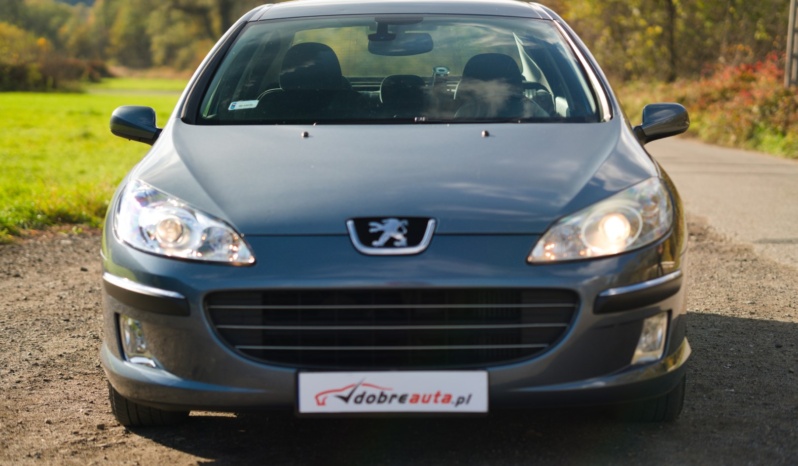 Peugeot 407 full
