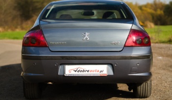 Peugeot 407 full