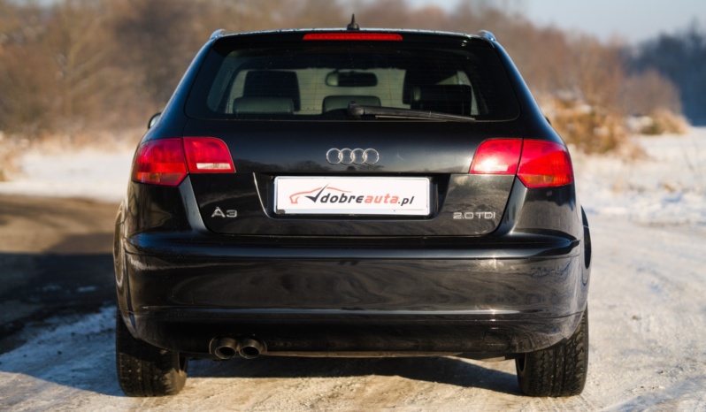 Audi A3 full