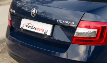 Skoda Octavia full