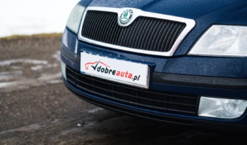 Skoda Octavia full