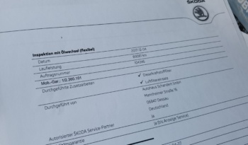 Skoda Octavia full