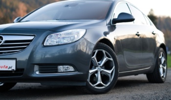Opel Insignia full