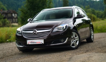 Opel Insignia full