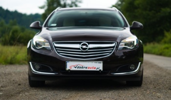 Opel Insignia full