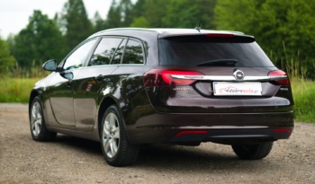 Opel Insignia full