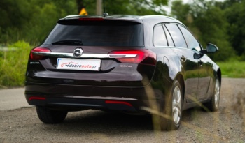 Opel Insignia full