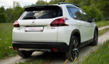 Peugeot 2008 full