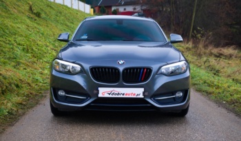 BMW 230i full