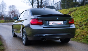 BMW 230i full