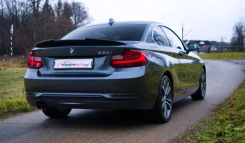 BMW 230i full