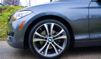 BMW 230i full