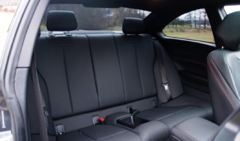 BMW 230i full