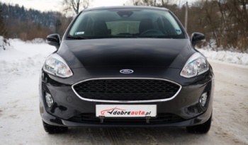 Ford Fiesta full