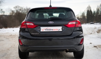 Ford Fiesta full