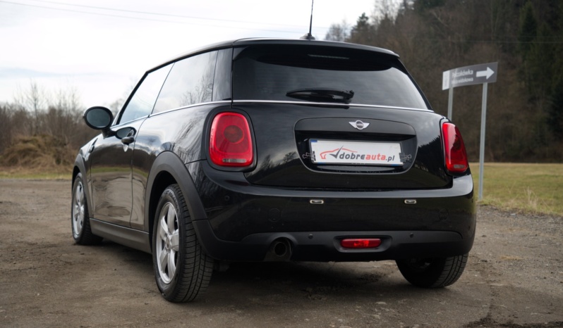 Mini One full