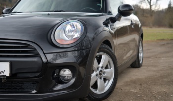Mini One full