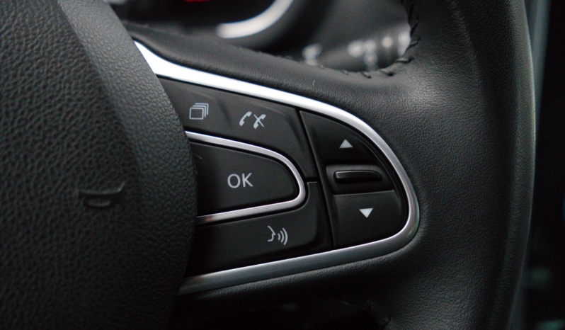 Renault Scenic full