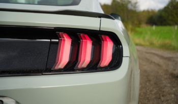 Ford Mustang Mach1 full