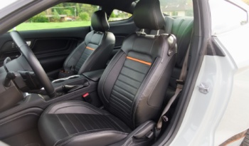 Ford Mustang Mach1 full