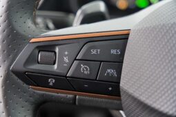 
										Cupra Formentor full									