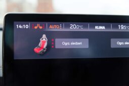 
										Cupra Formentor full									