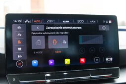 
										Cupra Formentor full									